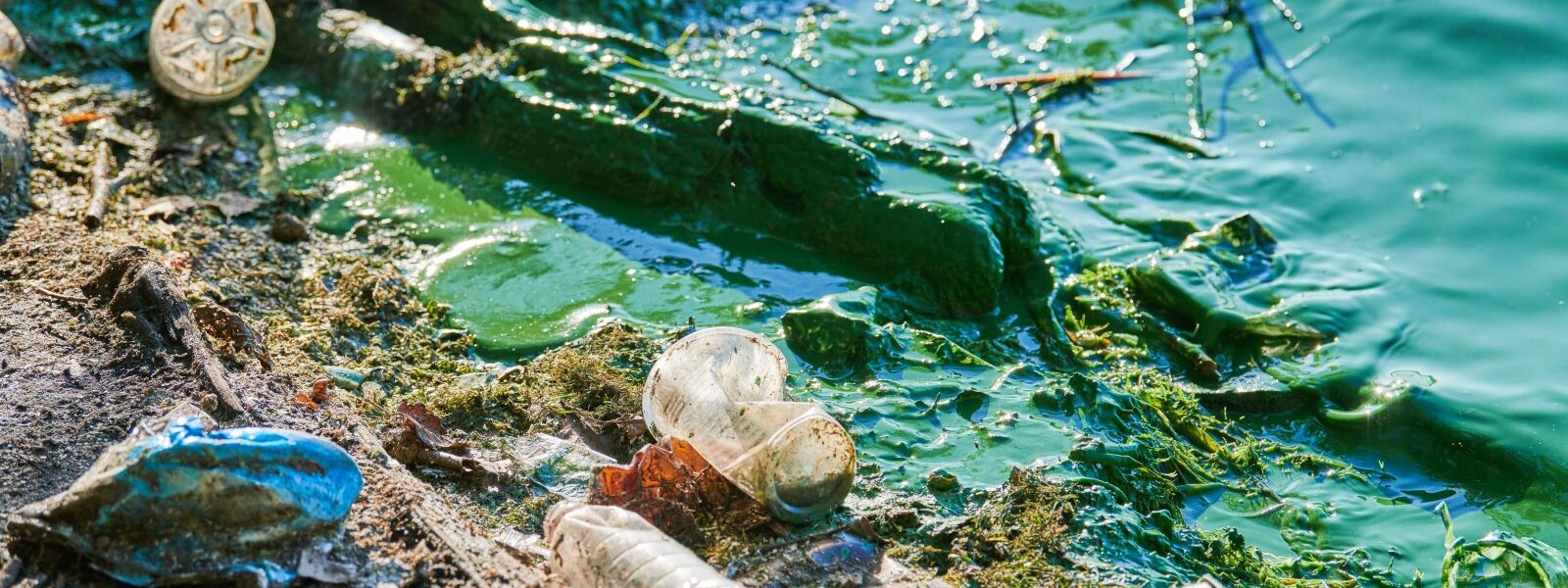 environmental water pollution 2023 11 27 05 05 06 utc