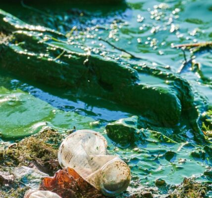 Wpływ mikroplastiku na ekosystemy morskie i sposoby jego redukcji 6 environmental water pollution 2023 11 27 05 05 06 utc e1733139556523