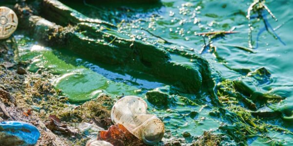 Wpływ mikroplastiku na ekosystemy morskie i sposoby jego redukcji 44 environmental water pollution 2023 11 27 05 05 06 utc e1733139556523