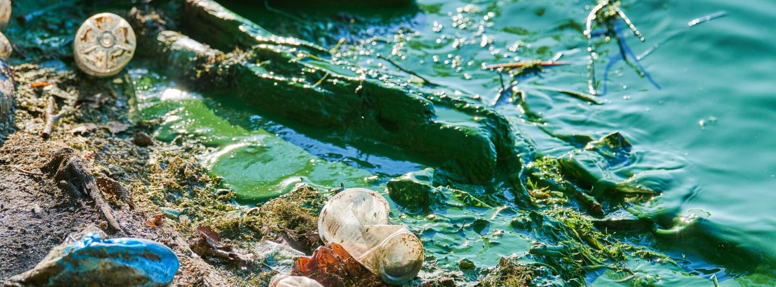 Wpływ mikroplastiku na ekosystemy morskie i sposoby jego redukcji 6 environmental water pollution 2023 11 27 05 05 06 utc e1733139556523